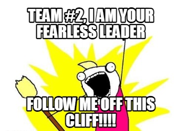 team-2-i-am-your-fearless-leader-follow-me-off-this-cliff