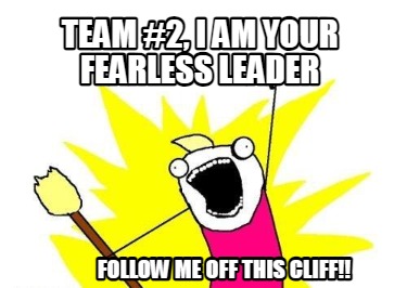 team-2-i-am-your-fearless-leader-follow-me-off-this-cliff1