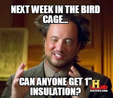 next-week-in-the-bird-cage...-can-anyone-get-1-insulation