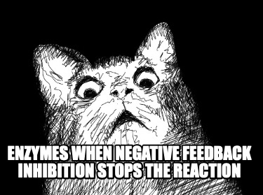 enzymes-when-negative-feedback-inhibition-stops-the-reaction