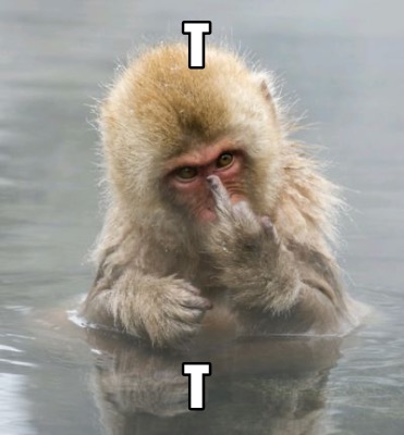t-t16