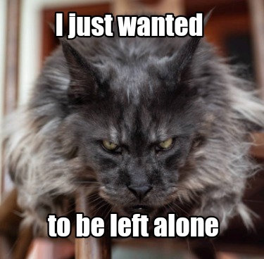 i-just-wanted-to-be-left-alone1