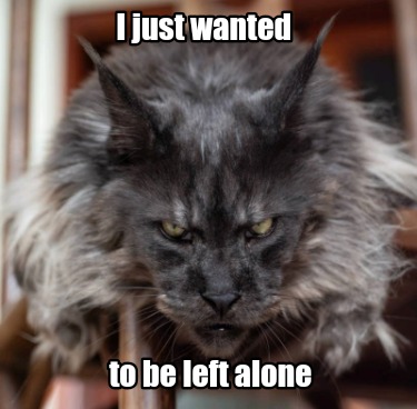 i-just-wanted-to-be-left-alone3