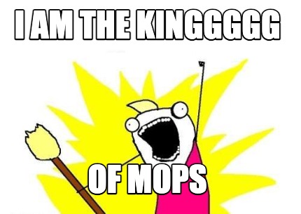 i-am-the-kinggggg-of-mops