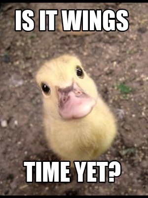 is-it-wings-time-yet