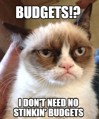 budgets-i-dont-need-no-stinkin-budgets