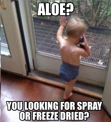 aloe-you-looking-for-spray-or-freeze-dried