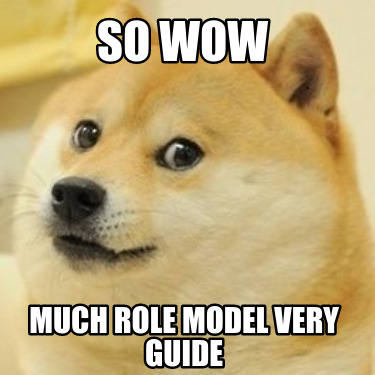 so-wow-much-role-model-very-guide