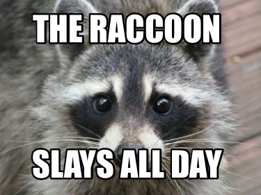 the-raccoon-slays-all-day