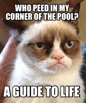 who-peed-in-my-corner-of-the-pool-a-guide-to-life