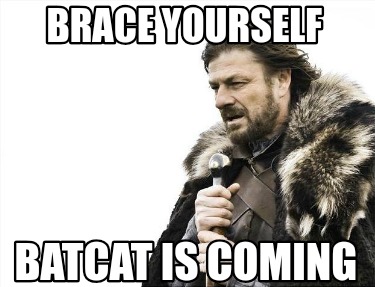 brace-yourself-batcat-is-coming