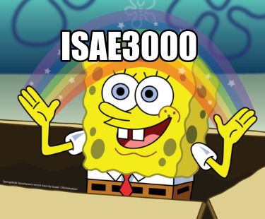 isae3000