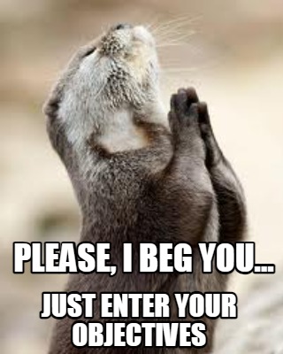 please-i-beg-you...-just-enter-your-objectives