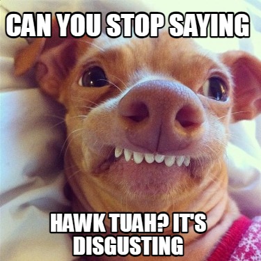 can-you-stop-saying-hawk-tuah-its-disgusting