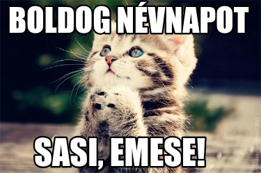 boldog-nvnapot-sasi-emese3