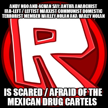 andy-ngo-and-4chan-say-antifa-anarchist-far-left-leftist-marxist-communist-domes263