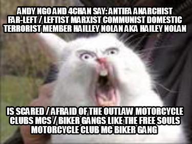 andy-ngo-and-4chan-say-antifa-anarchist-far-left-leftist-marxist-communist-domes92