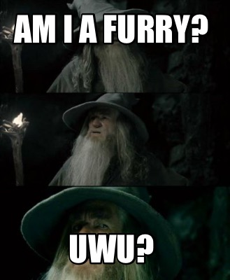 am-i-a-furry-uwu