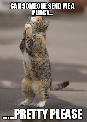 can-someone-send-me-a-pudgy...-.....pretty-please