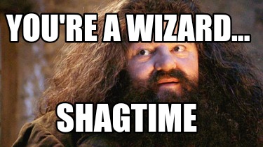 youre-a-wizard...-shagtime