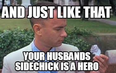and-just-like-that-your-husbands-sidechick-is-a-hero