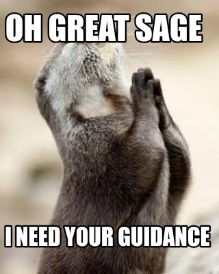 oh-great-sage-i-need-your-guidance