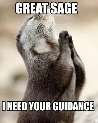 great-sage-i-need-your-guidance