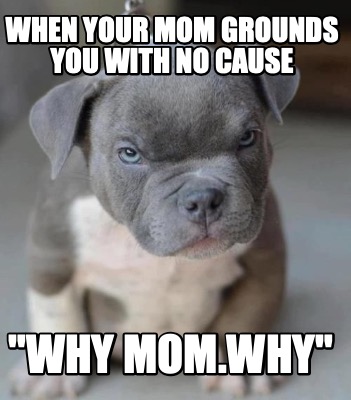 when-your-mom-grounds-you-with-no-cause-why-mom.why
