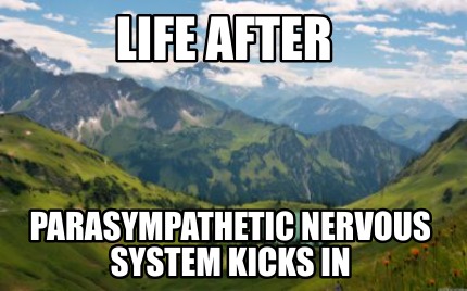 life-after-parasympathetic-nervous-system-kicks-in
