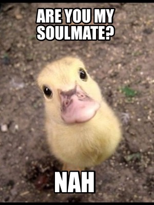 are-you-my-soulmate-nah