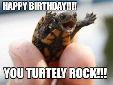 happy-birthday-you-turtely-rock
