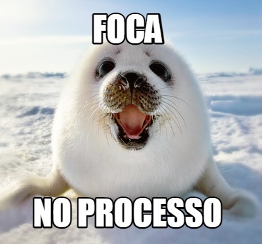 foca-no-processo