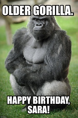 older-gorilla.-happy-birthday-sara