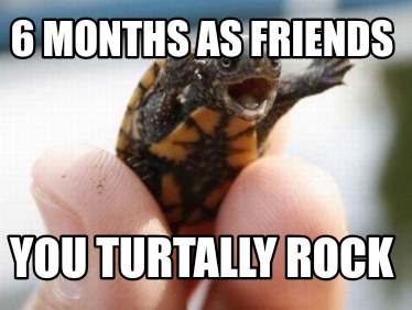 6-months-as-friends-you-turtally-rock