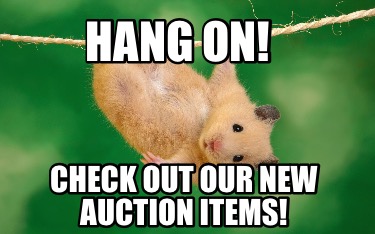 hang-on-check-out-our-new-auction-items
