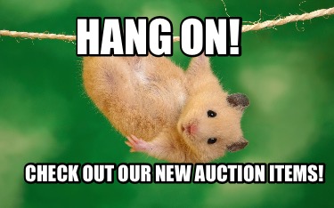 hang-on-check-out-our-new-auction-items2