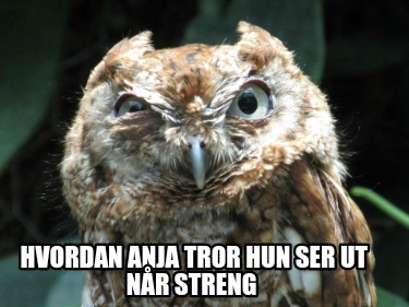 hvordan-anja-tror-hun-ser-ut-nr-streng