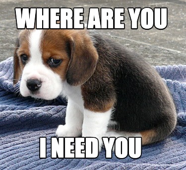where-are-you-i-need-you5