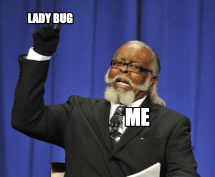 lady-bug-me6