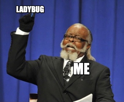 ladybug-me