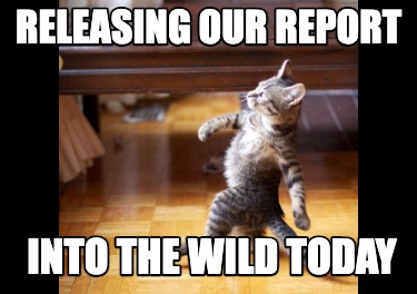 releasing-our-report-into-the-wild-today