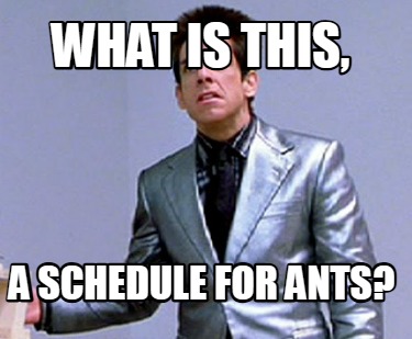 what-is-this-a-schedule-for-ants
