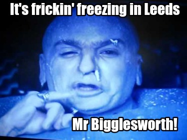 its-frickin-freezing-in-leeds-mr-bigglesworth4