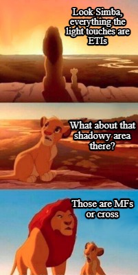 look-simba-everything-the-light-touches-are-etis-what-about-that-shadowy-area-th