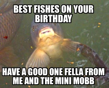 best-fishes-on-your-birthday-have-a-good-one-fella-from-me-and-the-mini-mobb