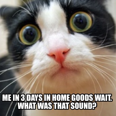 me-in-3-days-in-home-goods-wait.-what-was-that-sound