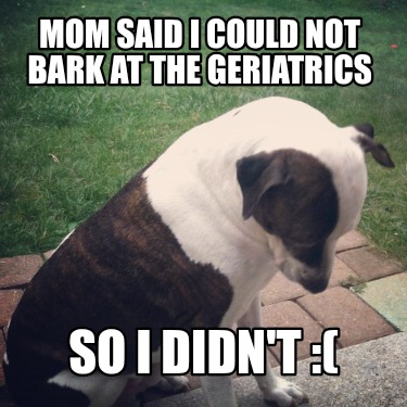 mom-said-i-could-not-bark-at-the-geriatrics-so-i-didnt-