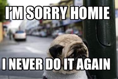 im-sorry-homie-i-never-do-it-again