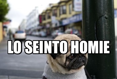 lo-seinto-homie