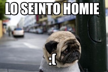 lo-seinto-homie-